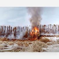 Richard Misrach (American, b.1949) Desert Fire #1 (Burning Palms) from Desert Canto IV: The Fires, 1983–1985