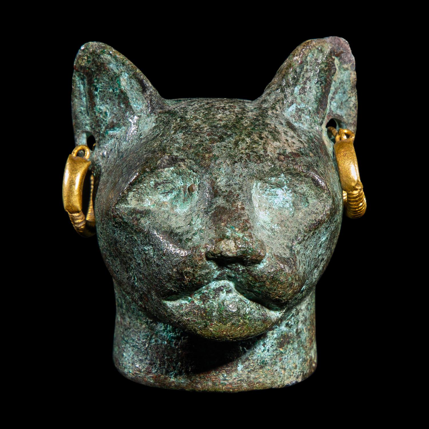 An Egyptian Bronze Head of a Cat