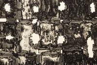 A Pair of Prints by Rudolf Schoofs and Luciana De Vita, 1959-1960