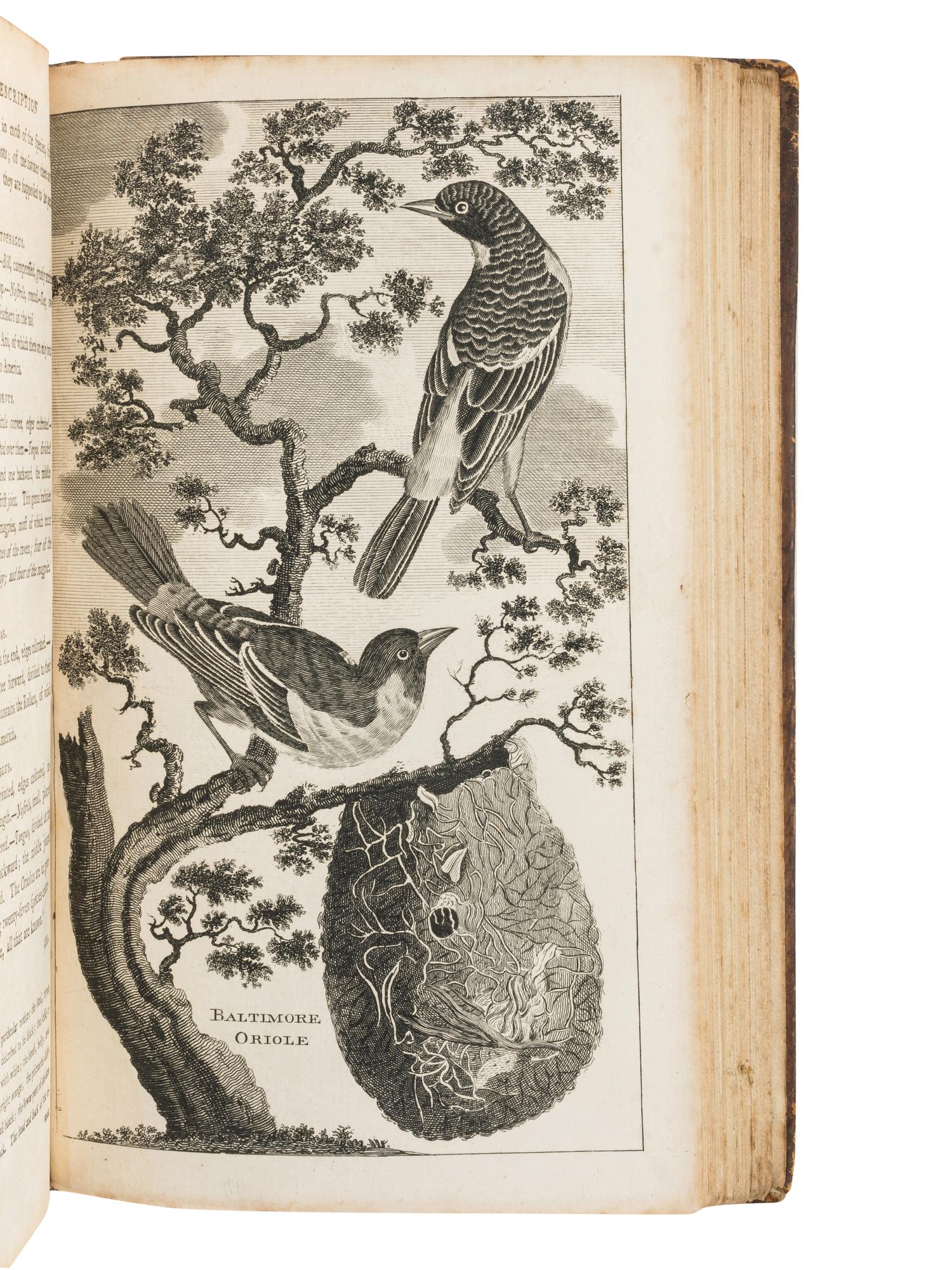 WINTERBOTHAM, William (1763-1829). An Historical, Geographical, Commercial and Philosophical View of the American United States .... London: for the editor et al, 1795.
