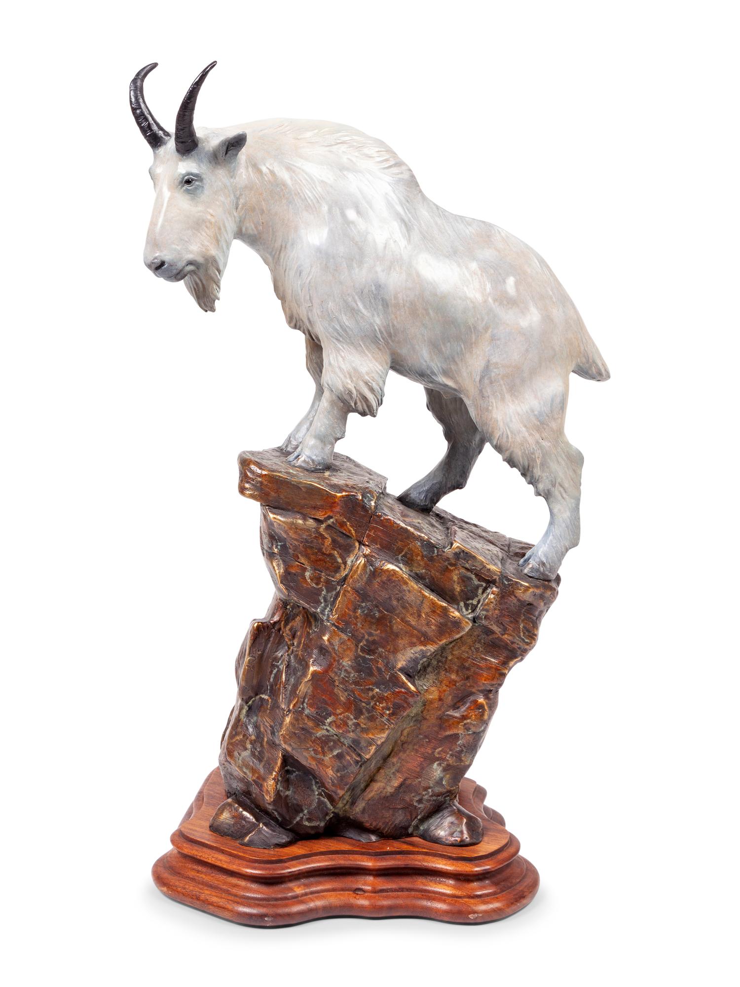 Mountain Sheep