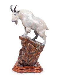 Mountain Sheep