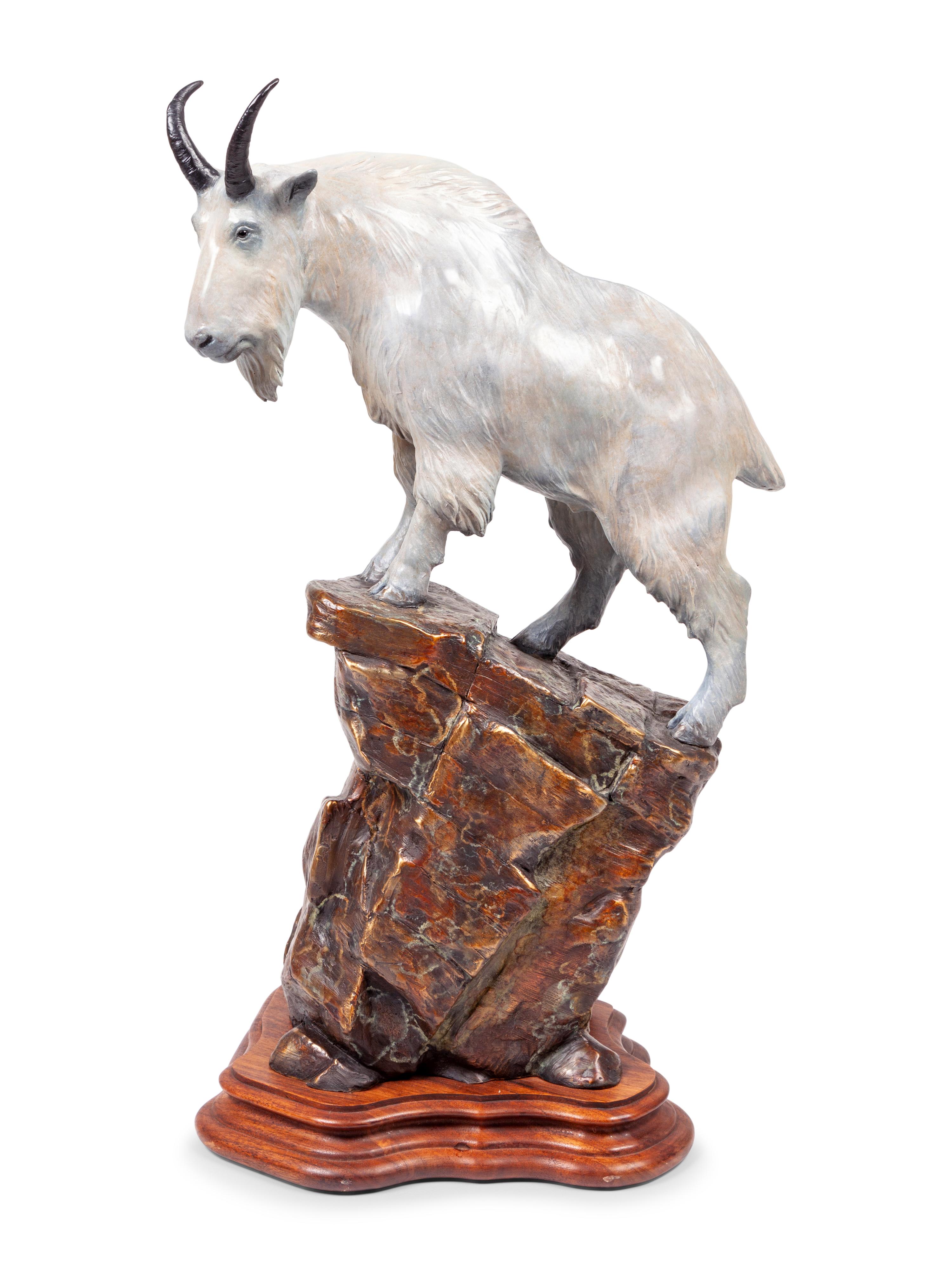 Mountain Sheep