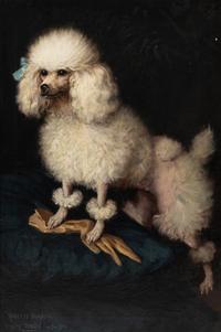 Mrs. Cleveland Greenway's "Rosette Blanche" (Zita)