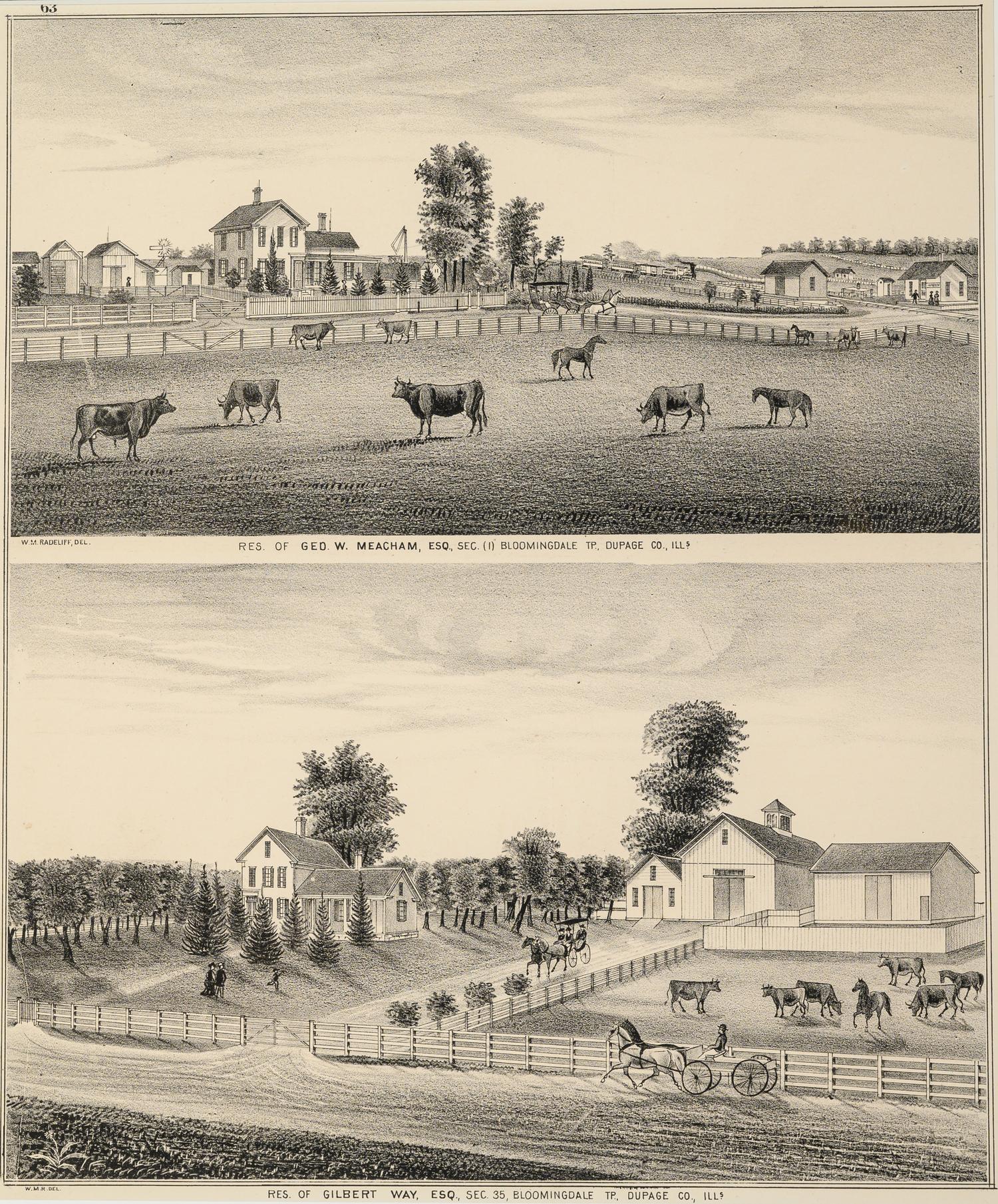 Printed City Views and farm scenes of Bloomingdale and Dupage County, Ill. N.p.: N.d. 23 x 21 In. Matted and framed.