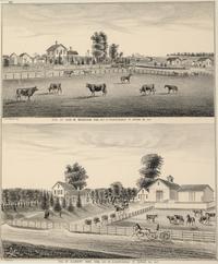Printed City Views and farm scenes of Bloomingdale and Dupage County, Ill. N.p.: N.d. 23 x 21 In. Matted and framed.