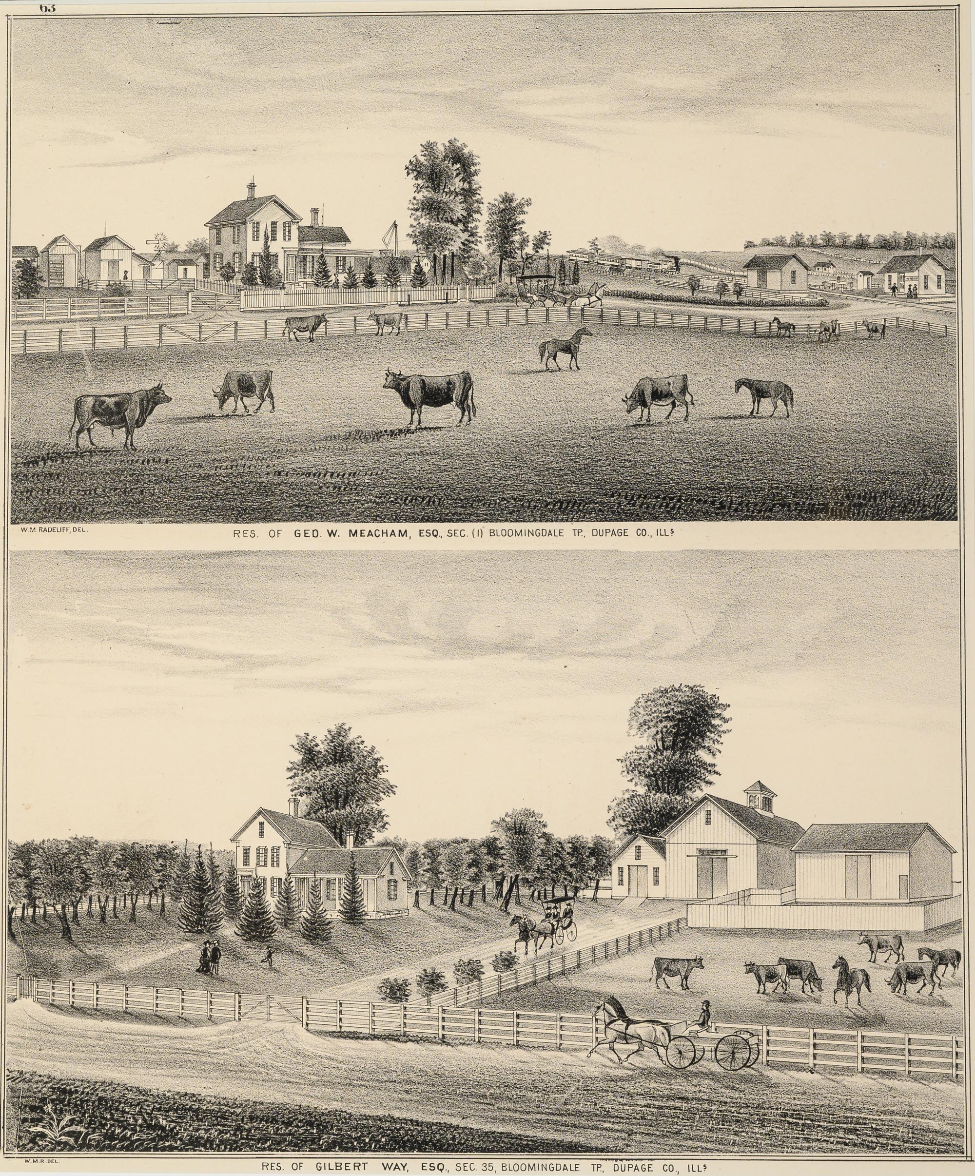 Printed City Views and farm scenes of Bloomingdale and Dupage County, Ill. N.p.: N.d. 23 x 21 In. Matted and framed.