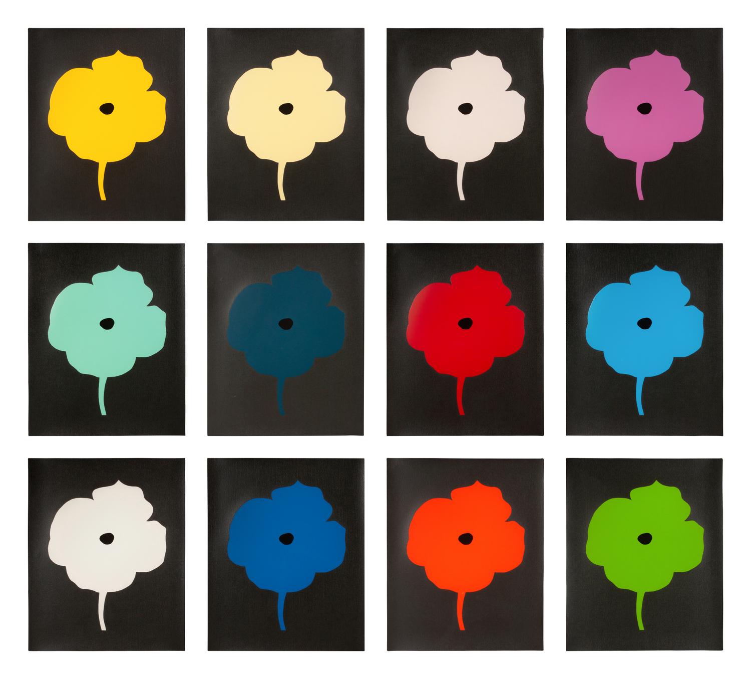 12 Colors (complete set of 12), 2007