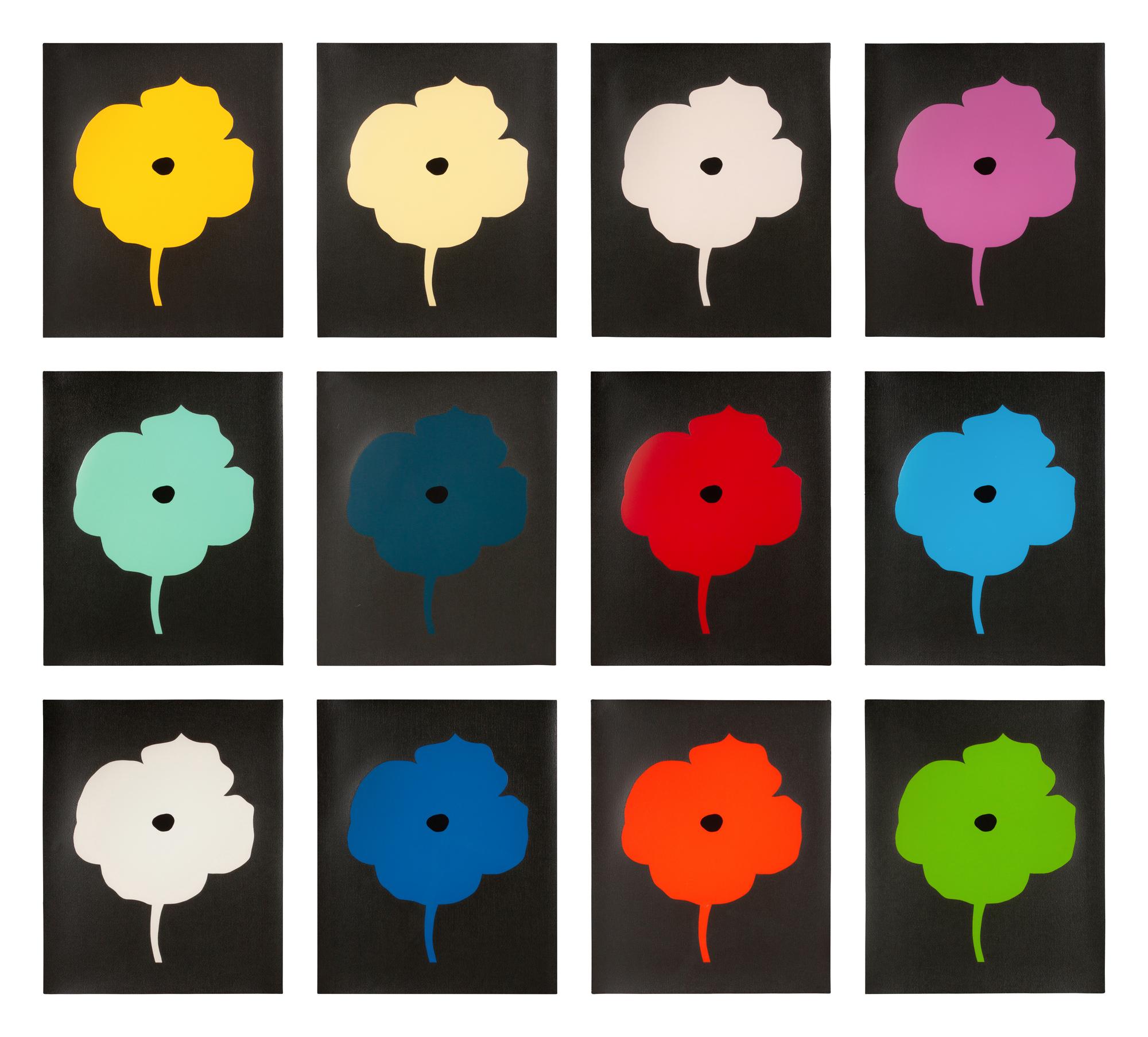 12 Colors (complete set of 12), 2007