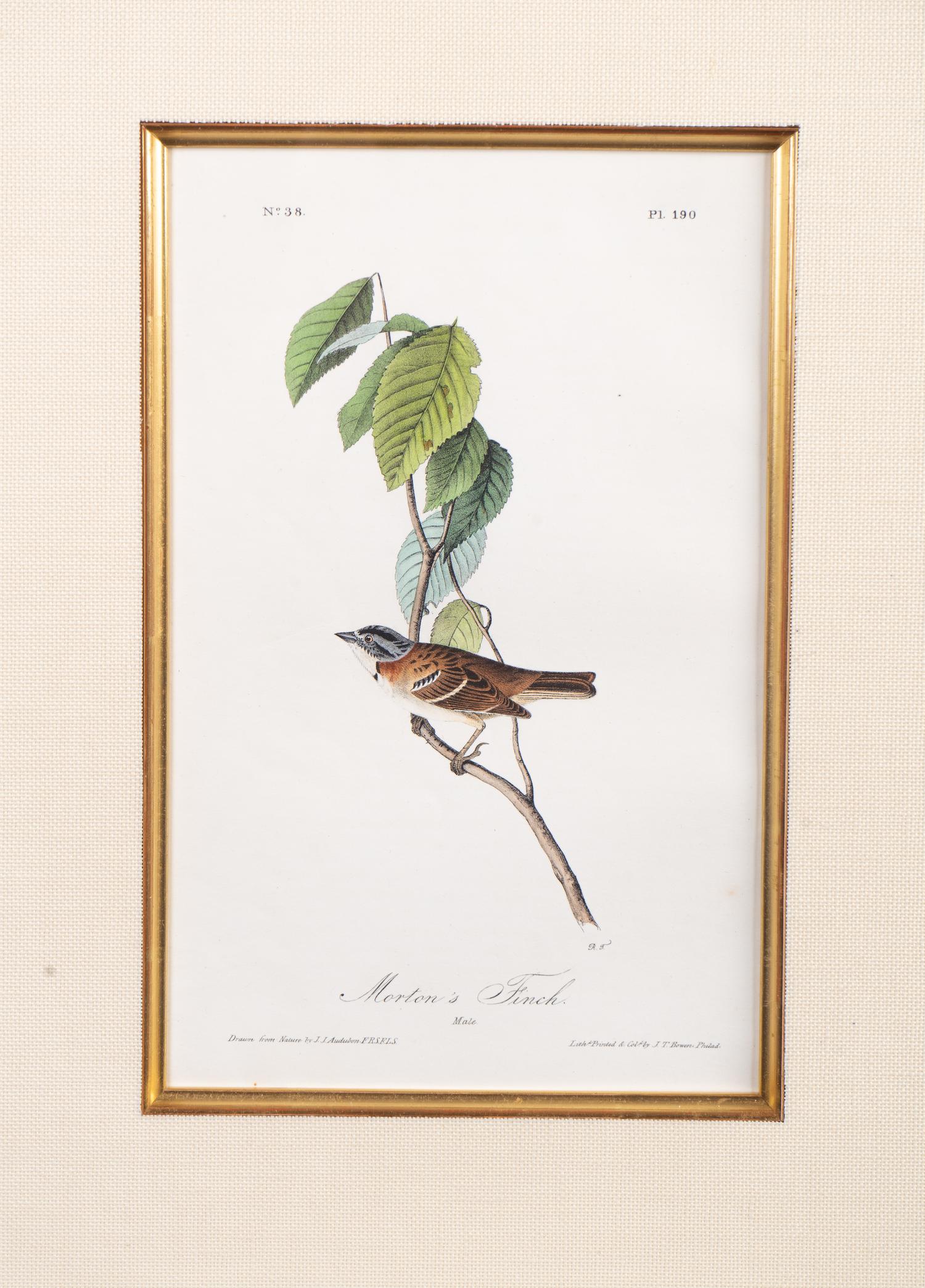 The Birds of America, Royal Octavo Edition, Bowen Edition