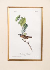 The Birds of America, Royal Octavo Edition, Bowen Edition