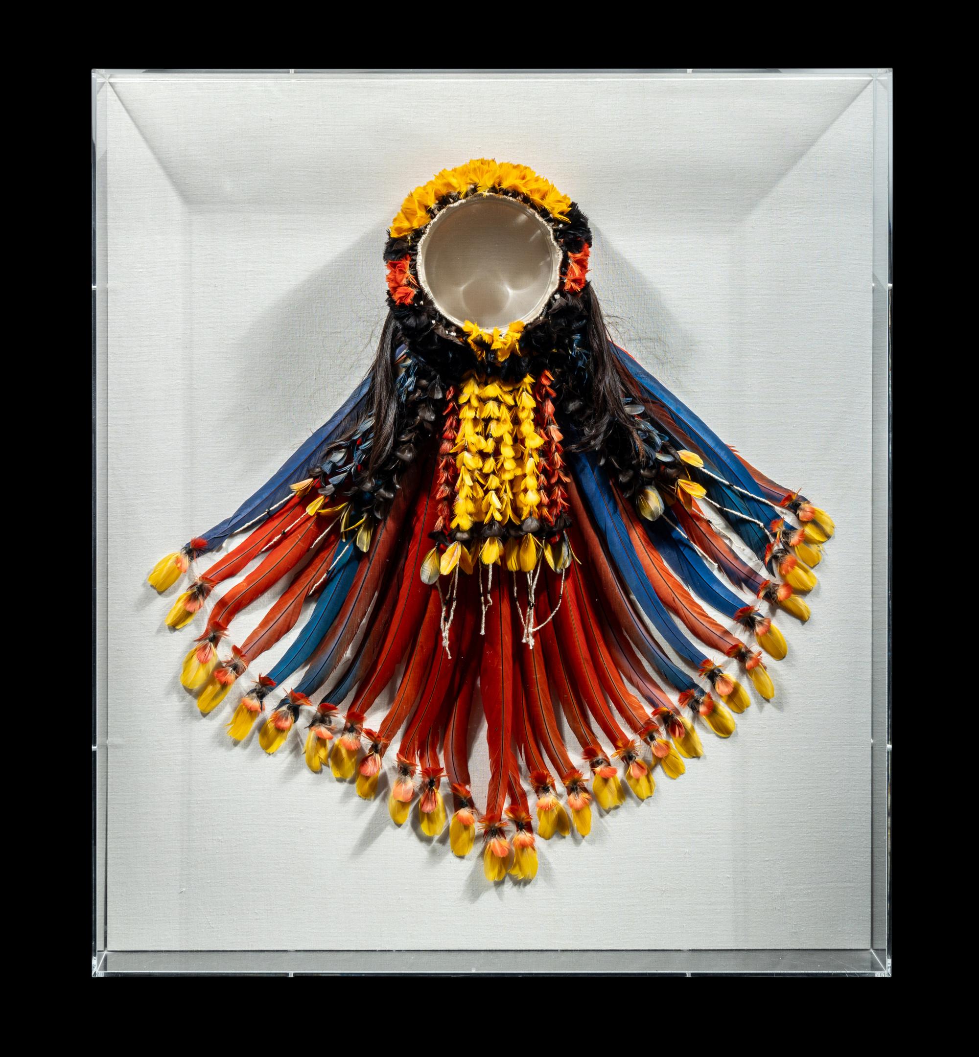 A Kayapo or Rikbaktsa Feather Headdress