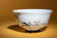 A Painted Enamel on Glass Bowl