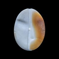 A Roman Banded Agate Gnostic Gem