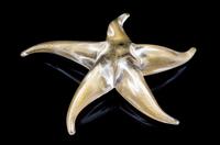 Three Starfish Themed Articles Width of widest 9 inches.