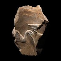 An Egyptian Painted Limestone Relief Fragment with the Head of an Ibis