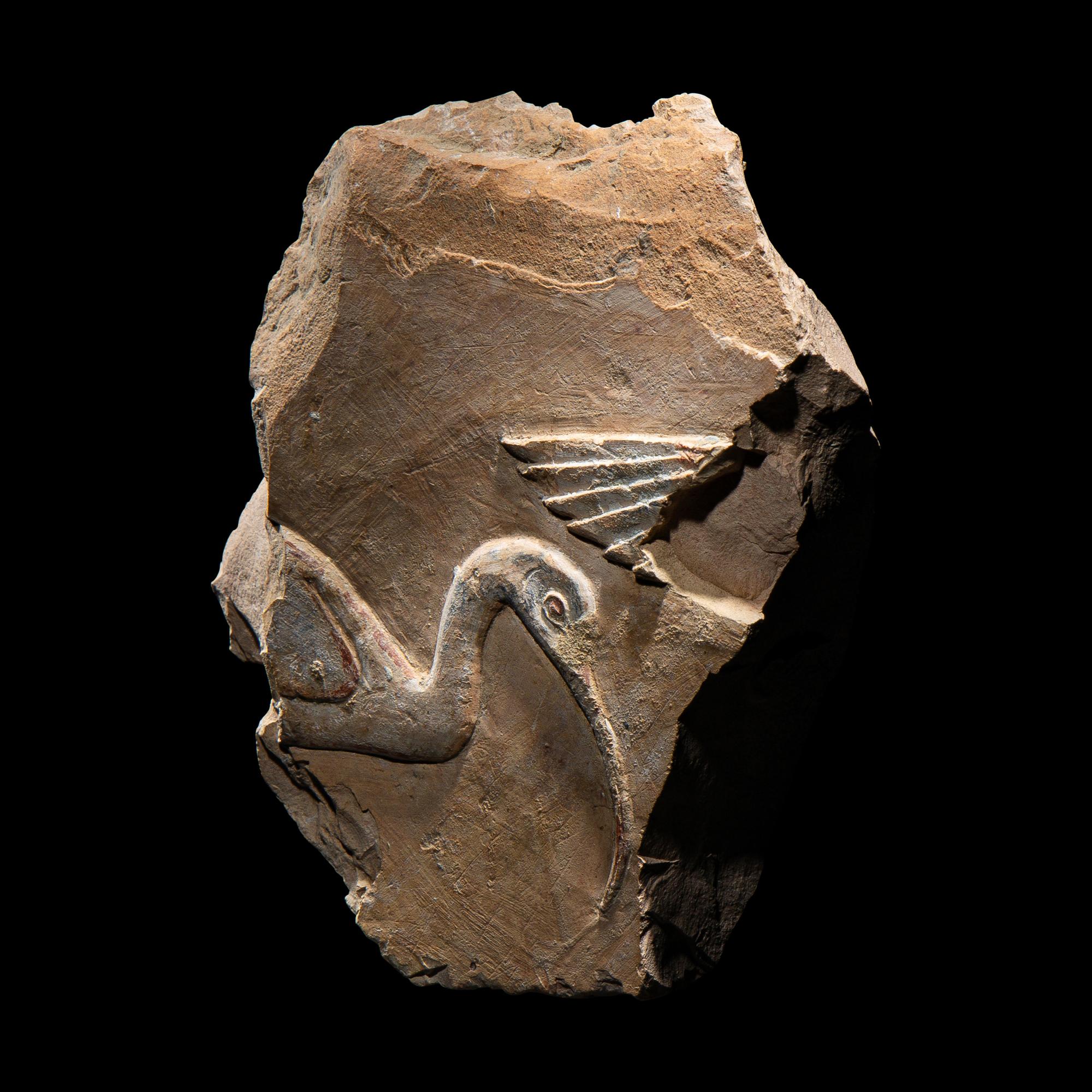 An Egyptian Painted Limestone Relief Fragment with the Head of an Ibis