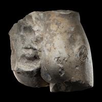 A Roman Marble Lower Torso Fragment