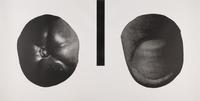 Untitled (A Group of Five Double-Sided Prints)
