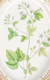 A Pair of Royal Copenhagen Flora Danica Porcelain Oval Platters