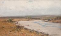 Colorado River , 1891