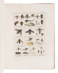 COQUEBERT, Antoine Jean (1753-1825). Illustratio Iconographica Insectorum … Paris: Typis Petri Didot, [1798/9]-1804.