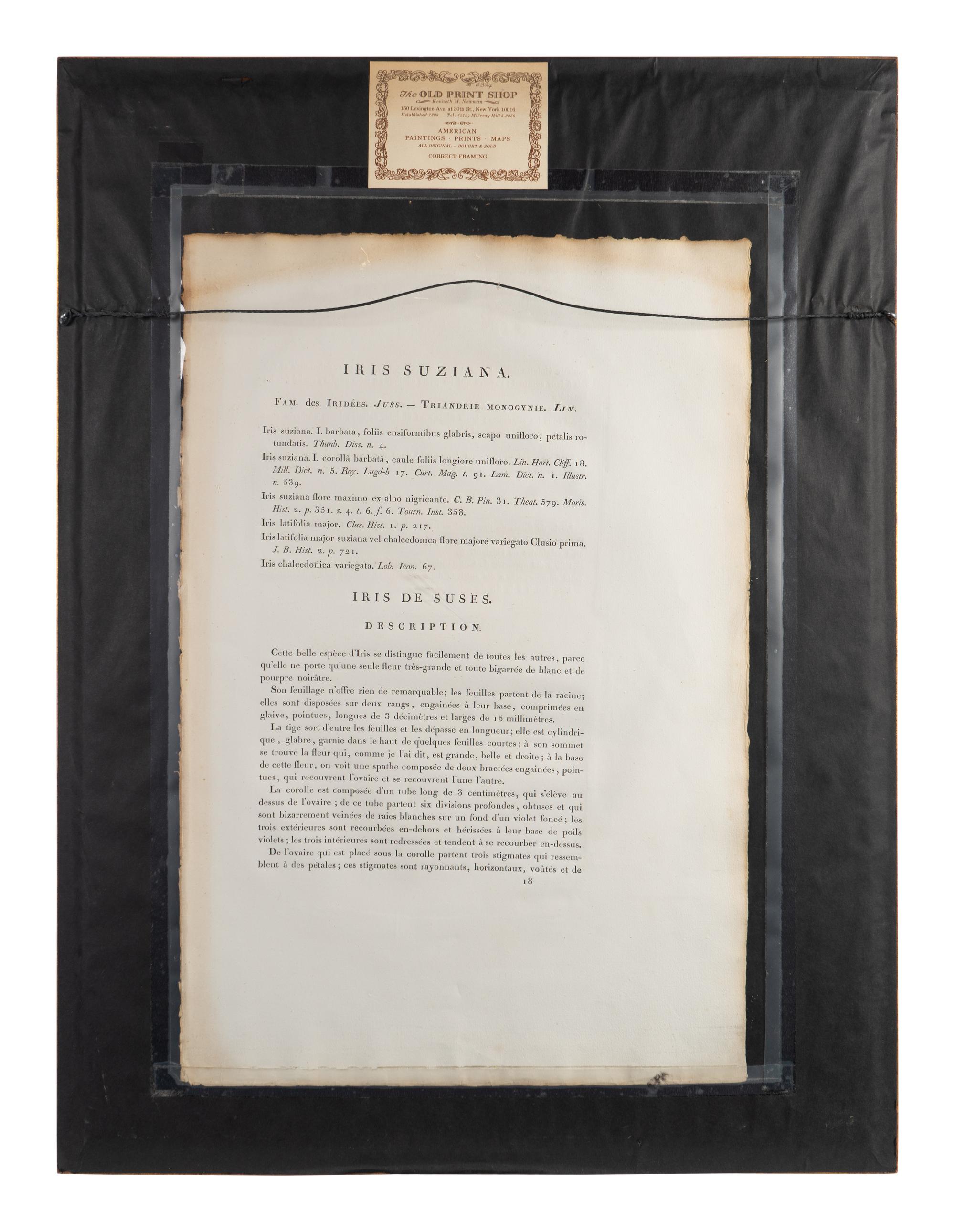 Six Colored Botanical Engravings