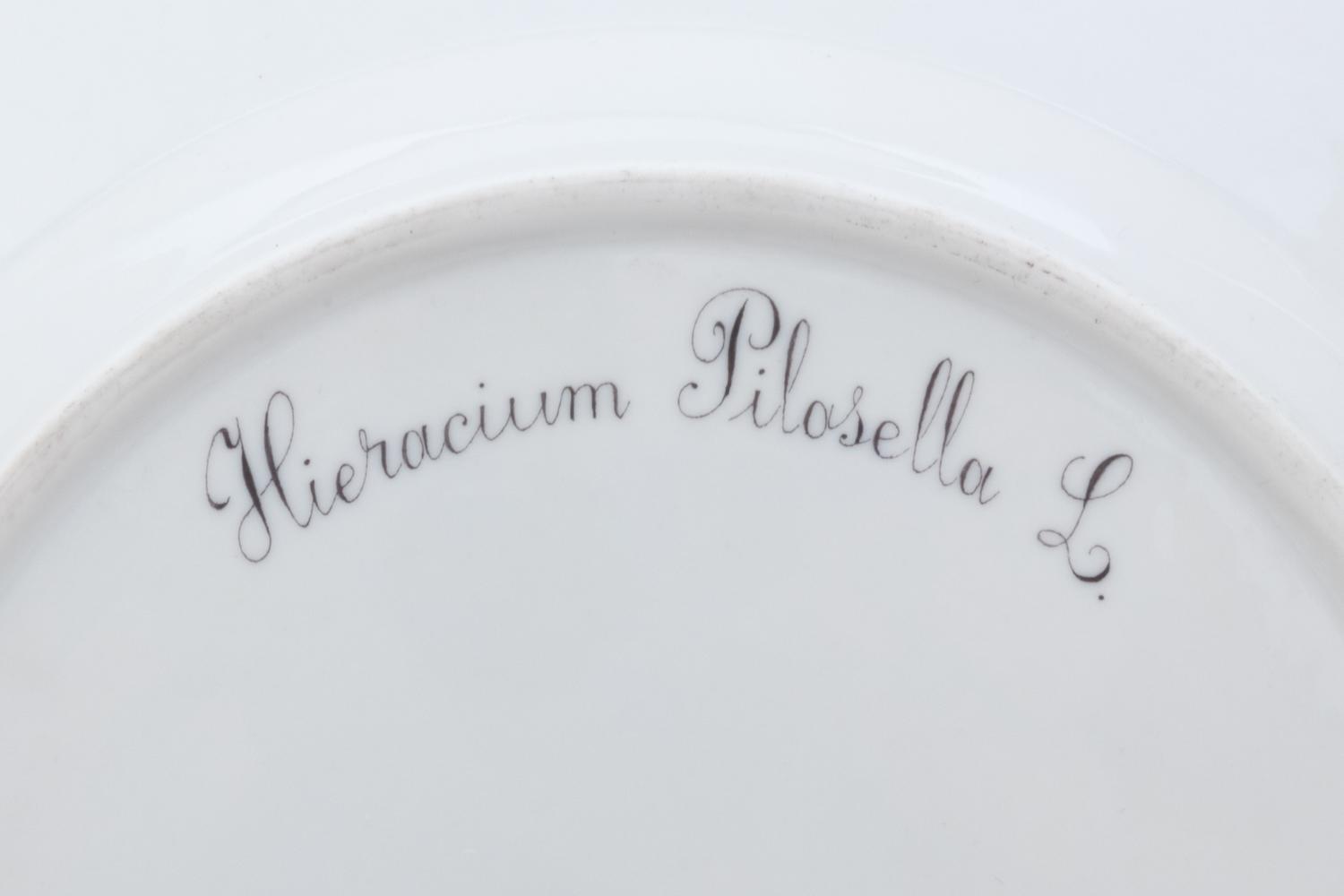 A Set of Twelve Royal Copenhagen Flora Danica Porcelain Dinner Plates