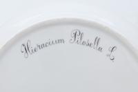 A Set of Twelve Royal Copenhagen Flora Danica Porcelain Dinner Plates