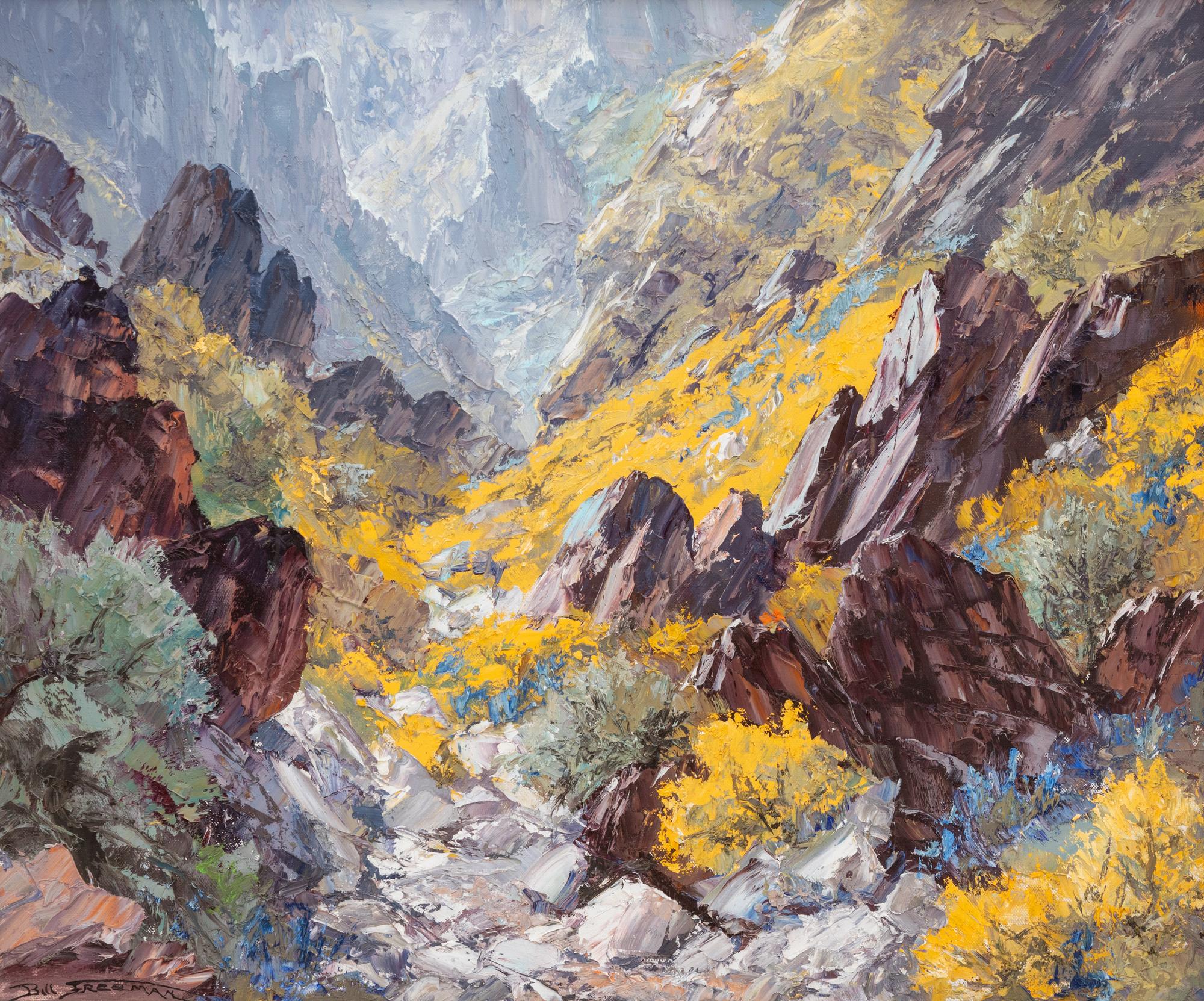 Wild Canyon