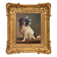 Portrait of a Spaniel
