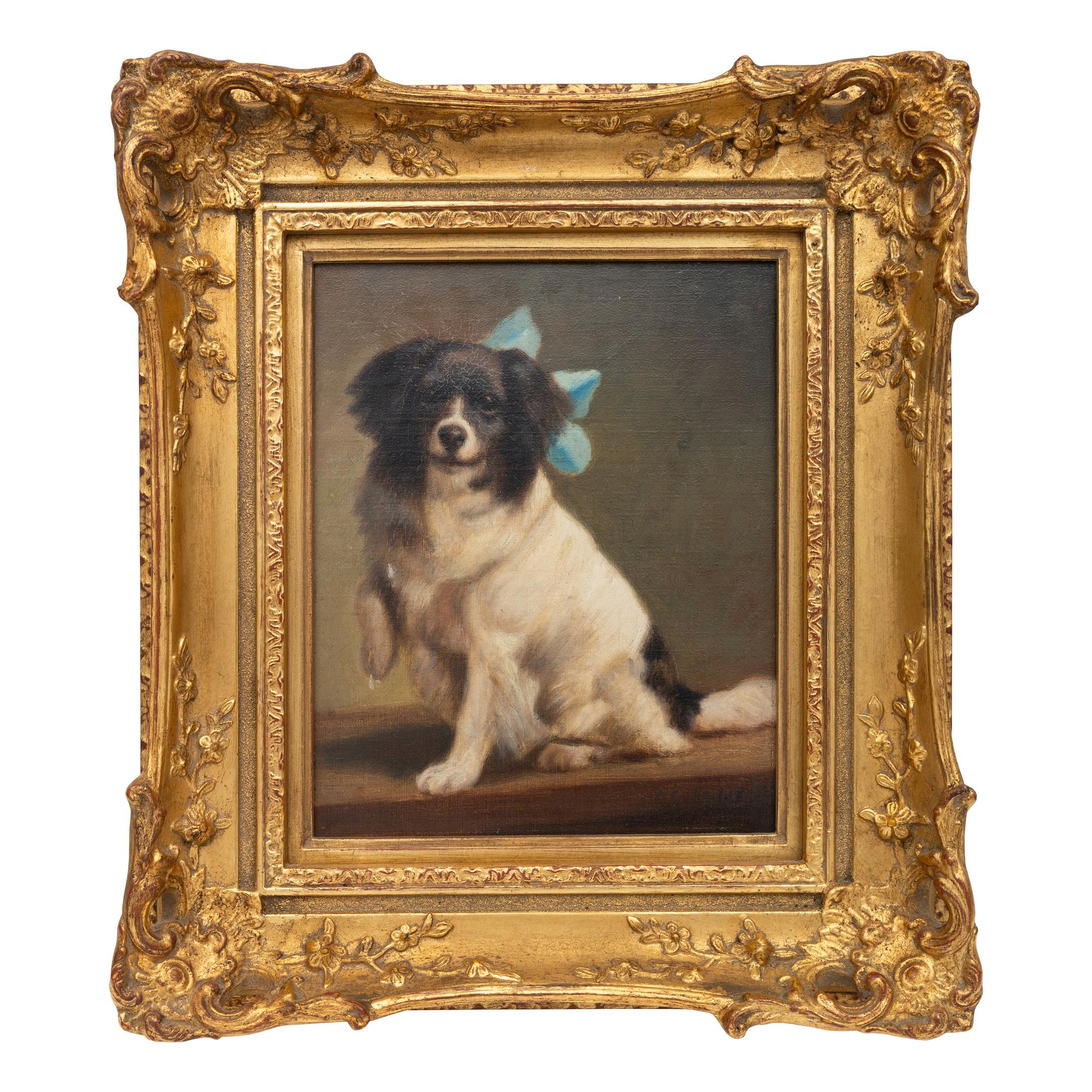 Portrait of a Spaniel