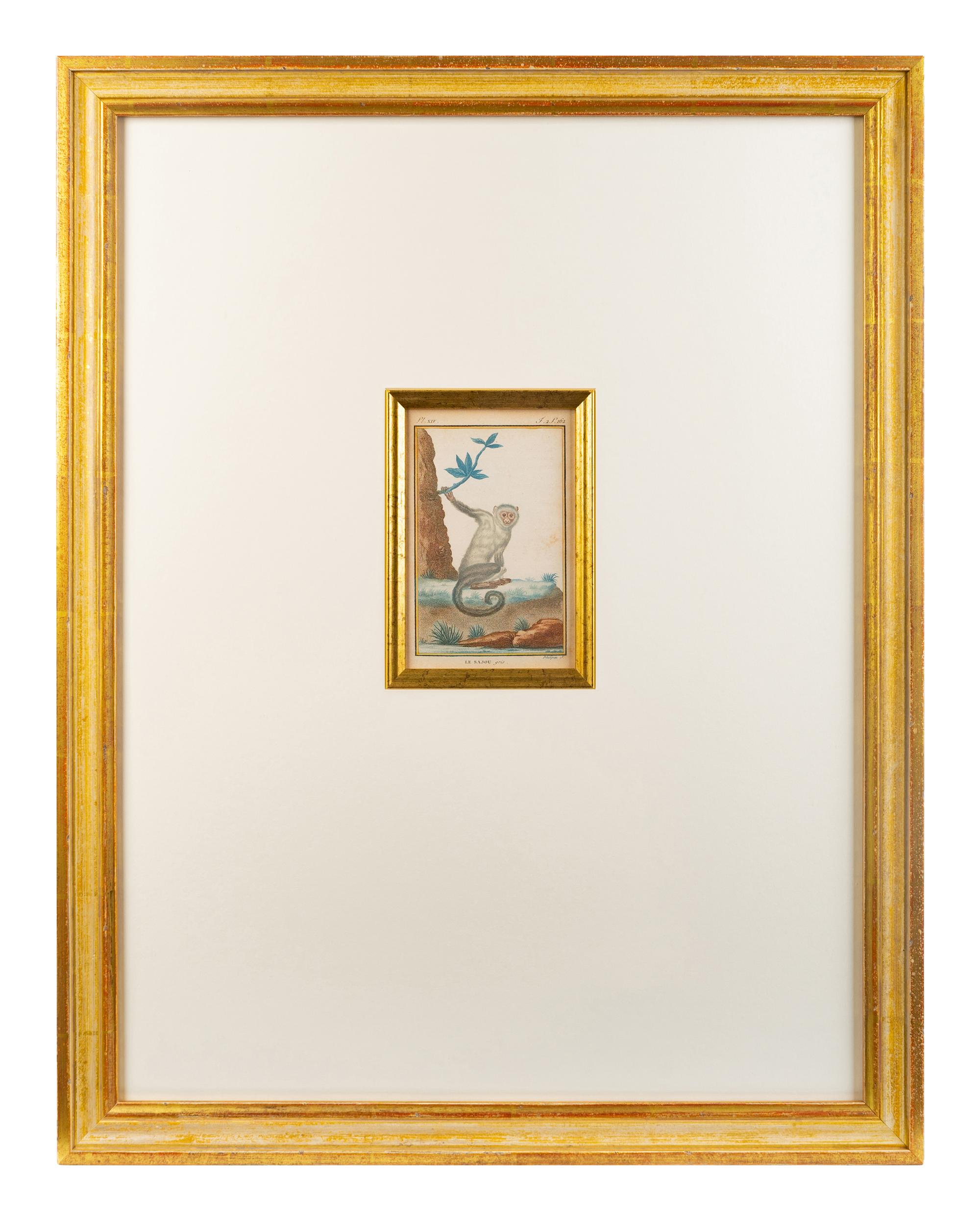 Two Hand-Colored Engravings After Jacques de Seve — EARLY 19TH CENTURY