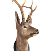 A Pair of Continental Painted Terracotta Deer Mounts