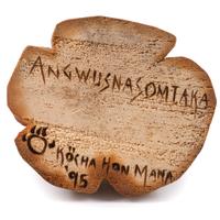 Katsina, Angwusnasomtaka