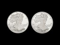 [PRIVATE ISSUE] Two 1-Pound Silver Rounds
