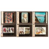 [EARLY PHOTOGRAPHY] -- [HORTICULTURE]. A group of 93 magic lantern slides and notes for a program on Luther Burbank. Boston, MA: E.W. Goodrich, Tremont Temple, [ca 1920s].