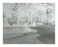 [EDUCATION]. 10 large format glass negatives featuring students at Wilberforce University.