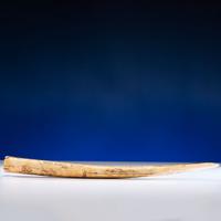 John Octuck (Inuit, 1873-1918) Scrimshawed Cribbage Board