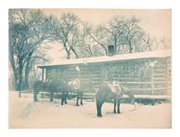 [WESTERN AMERICANA]. BELDEN, Charles J. (1888-1963), photographer. A group of 5 photographs of western subjects, incl. cowboys, cattle, and a coyote. Pitchfork Ranch, WY, ca 1910s-1940s.