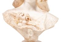 An Italian Alabaster Bust of a Lady