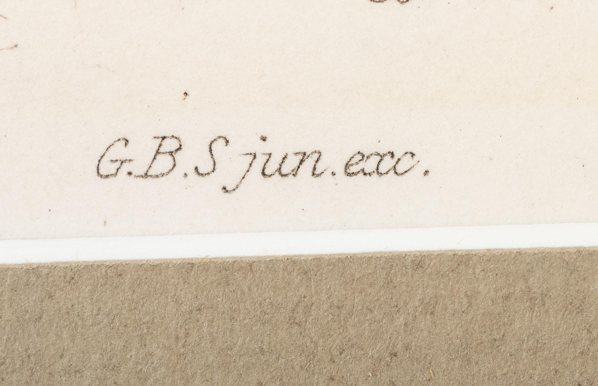 Thirteen Hand-Colored Shell Engravings