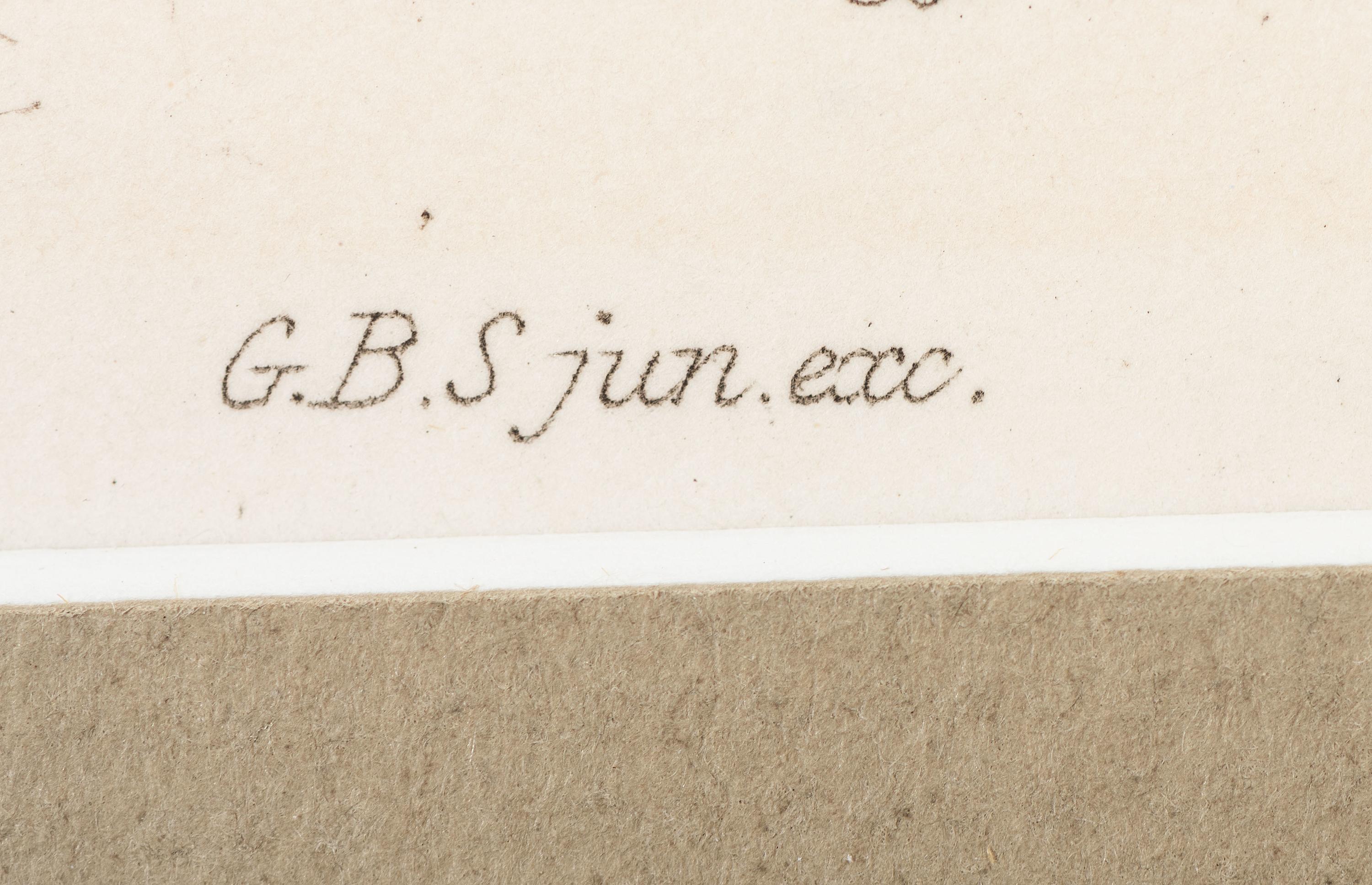 Thirteen Hand-Colored Shell Engravings