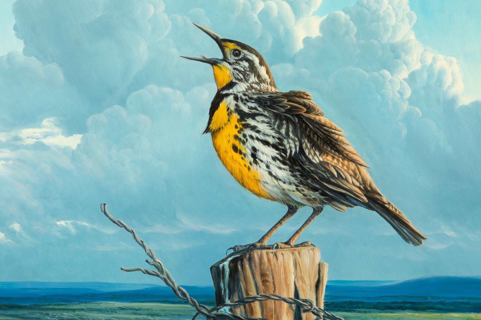 Meadowlark , 1998