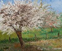 Pommier en fleurs