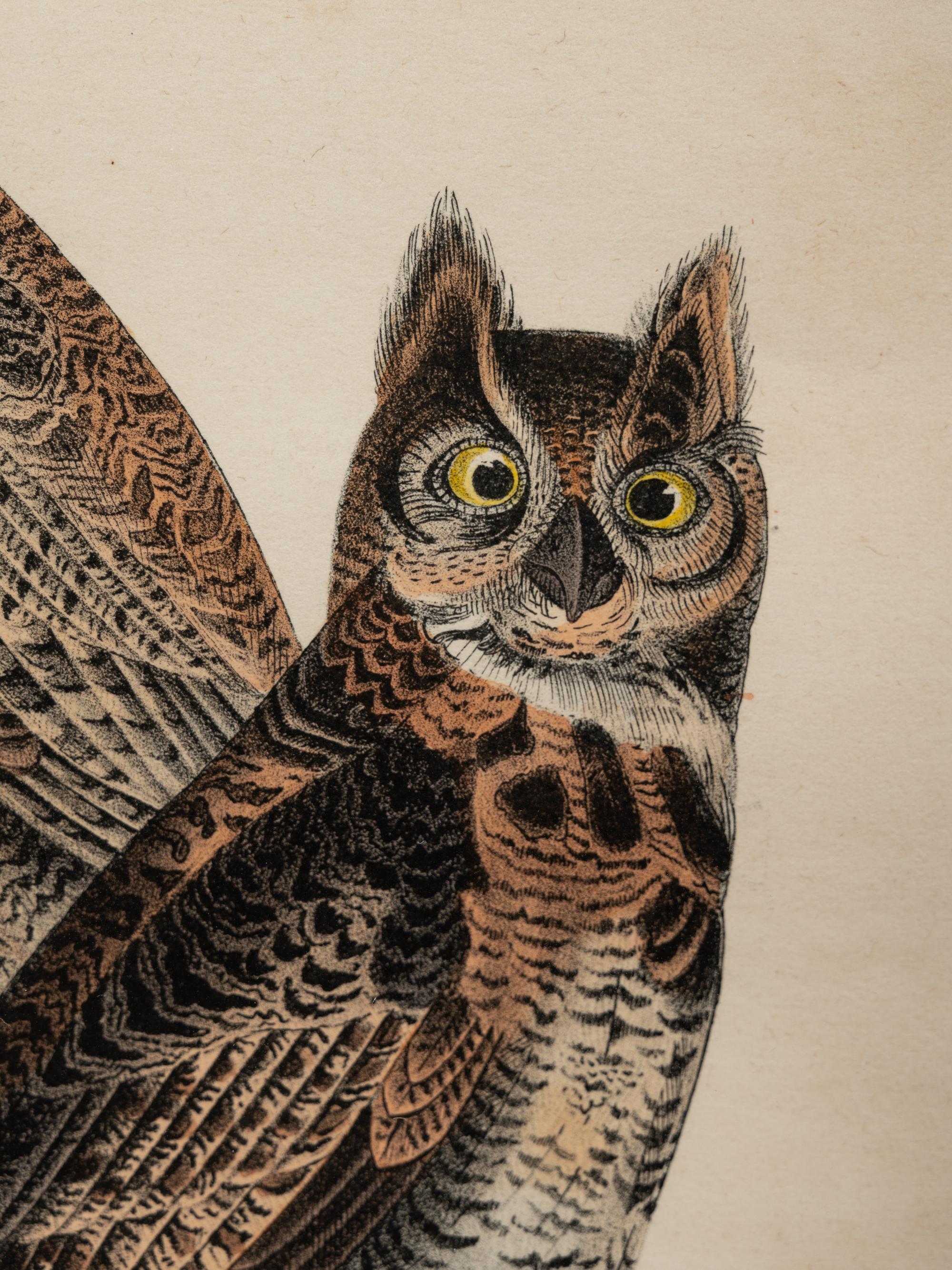 AUDUBON, John James (1785-1852) et al, after A group of 10 octavo-format prints, comprising:
