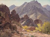 The Mcdowell Mountains