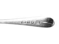 A George III Silver Condiment Spoon
