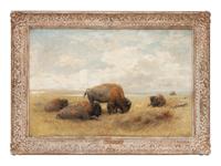 Mid-Day Buffalo