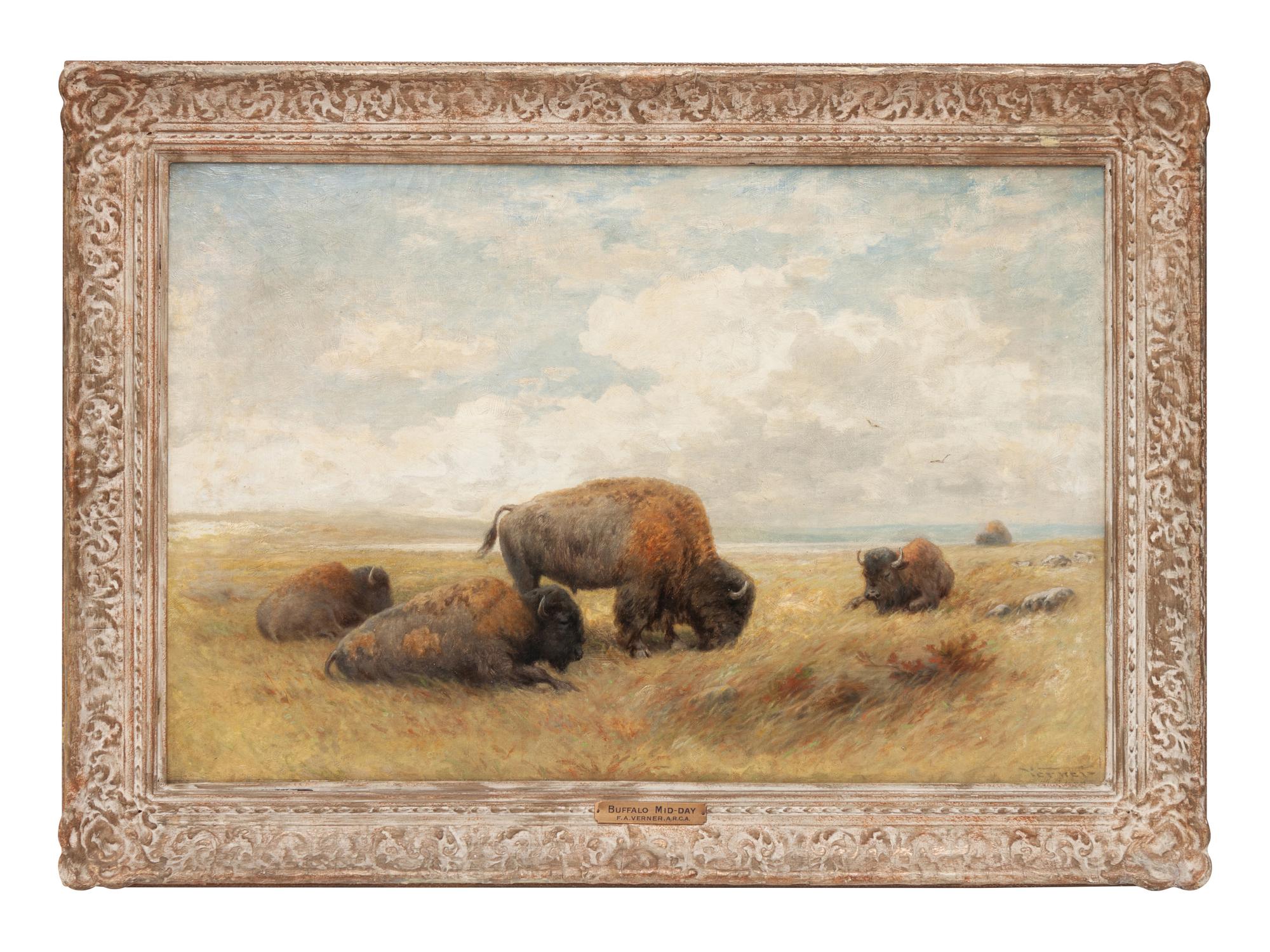 Mid-Day Buffalo